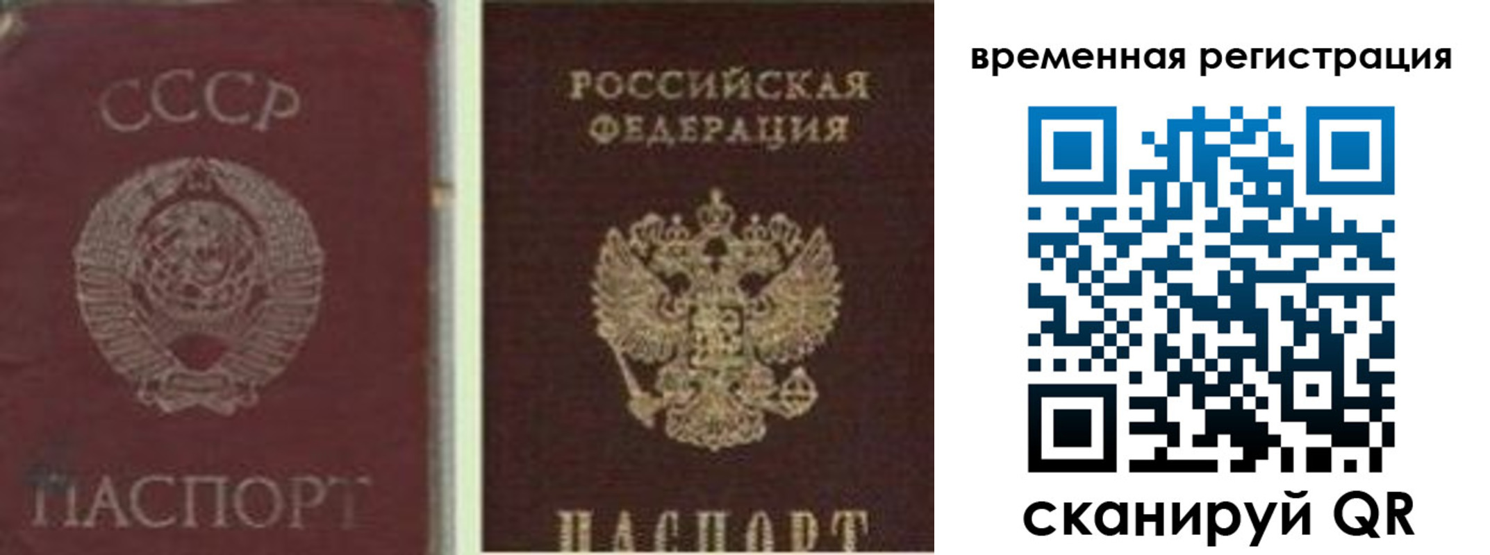 найти адрес прописки в Раменском